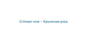 Crimean rose – Krymskaya roza