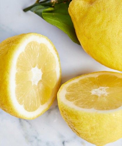 Amalfi Lemon
