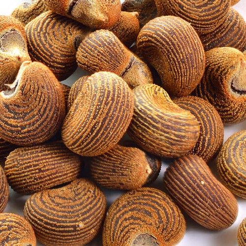 Ambrette (Musk Mallow)