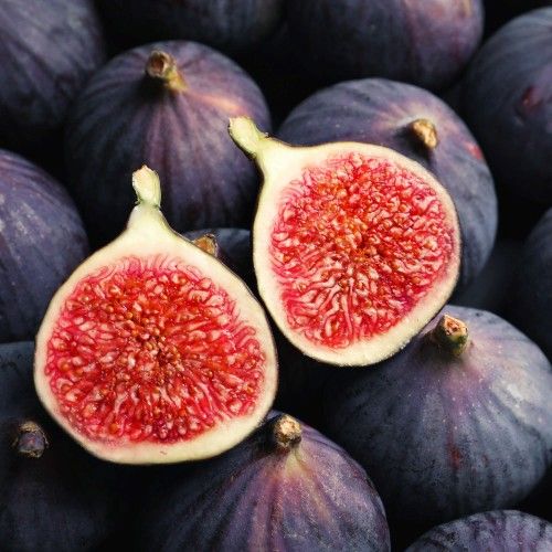 black fig