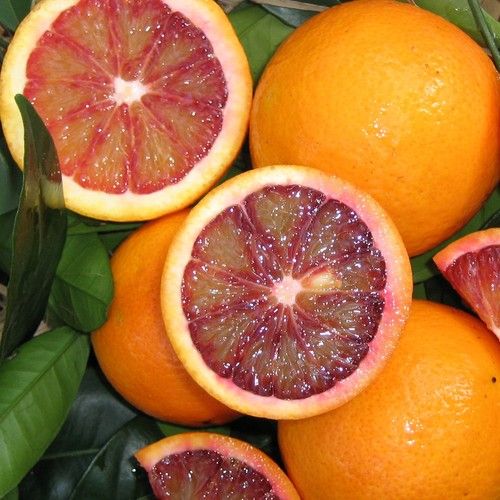 Blood Mandarin