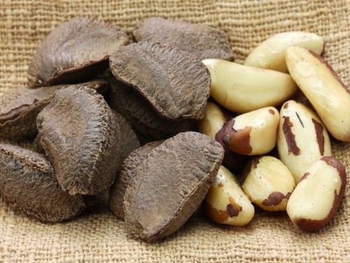 Brazil nut