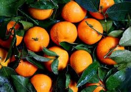 Brazilian Orange