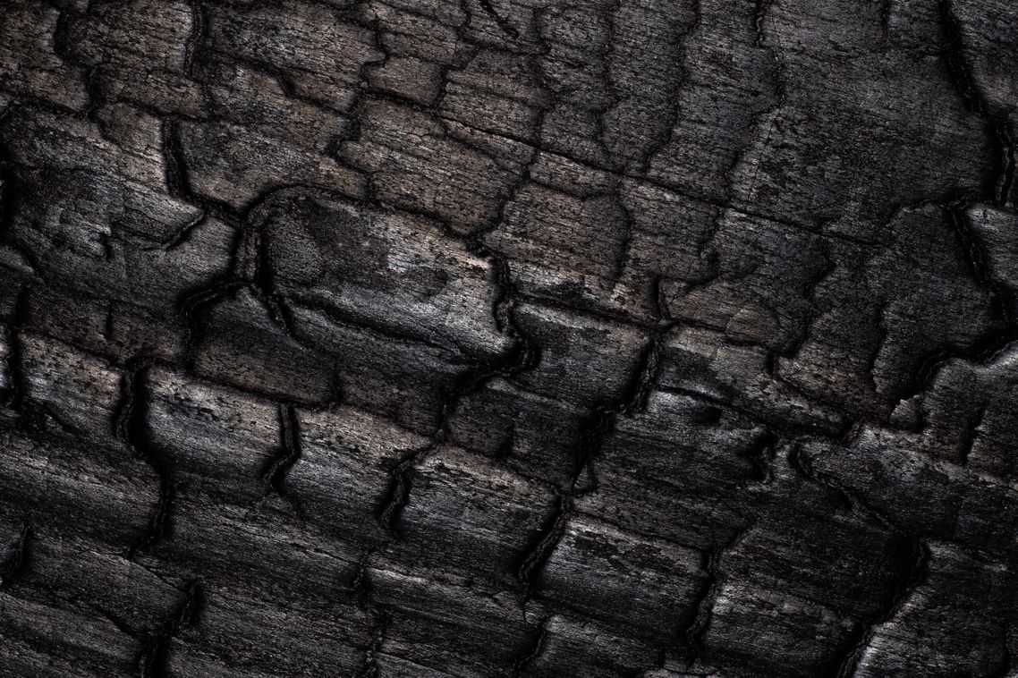 Charred Wood