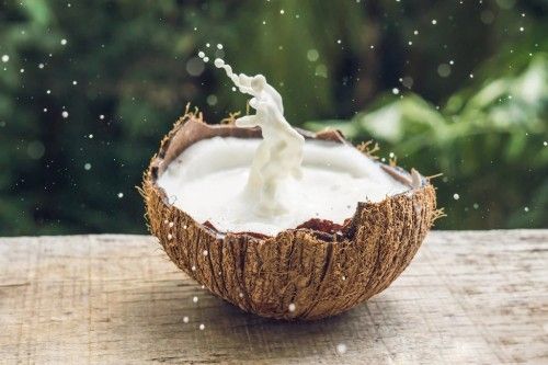 Coconut Milk