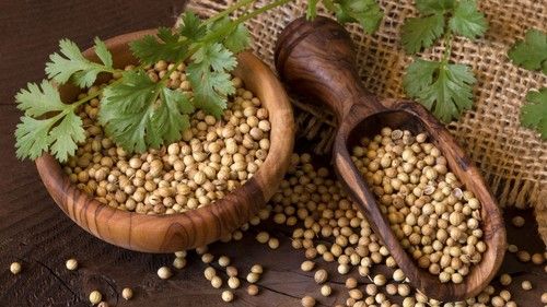 Coriander Extract