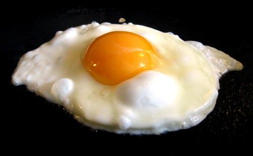 Egg