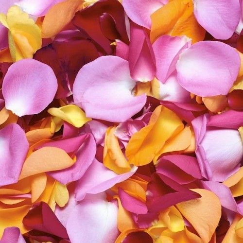 Flower Petals