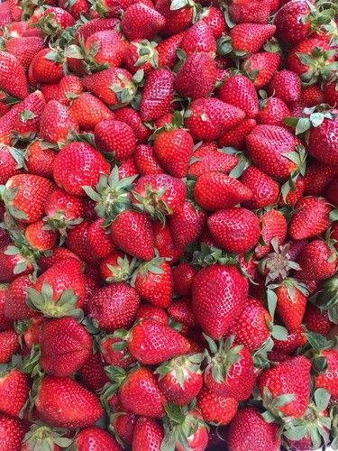 Gariguette Strawberry