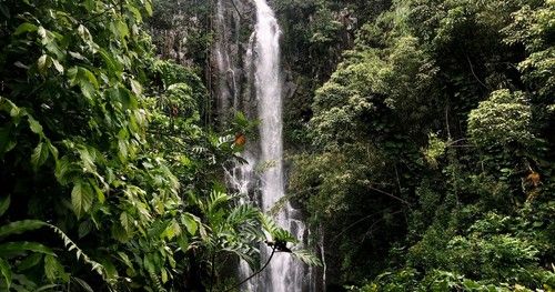 Head Space Waterfall