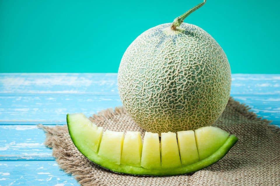 Honeydew Melon