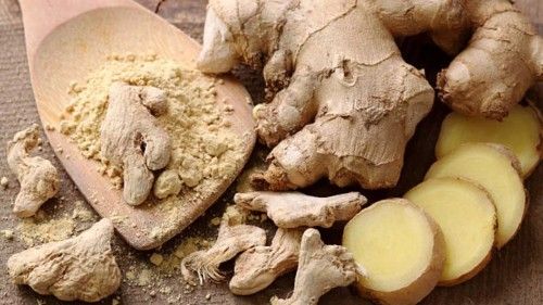 Indian Ginger