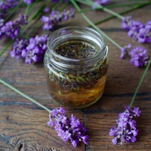 Lavender Extract