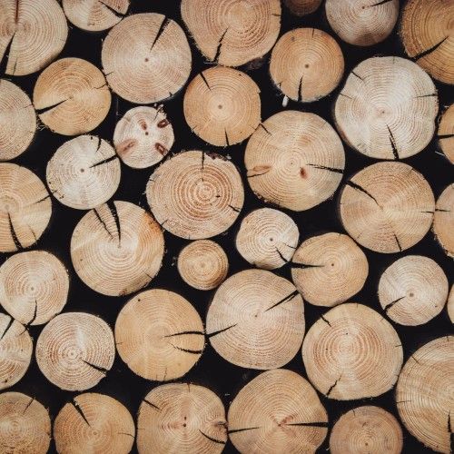 Oriental Woodsy notes