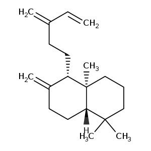 Sclarene