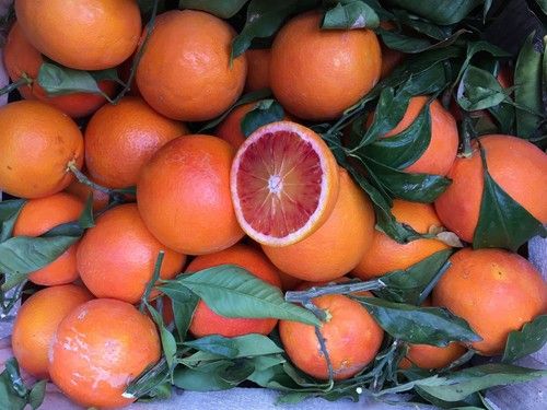 Sicilian Citrus