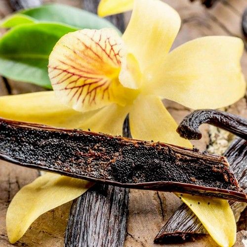Tahitian Vanilla
