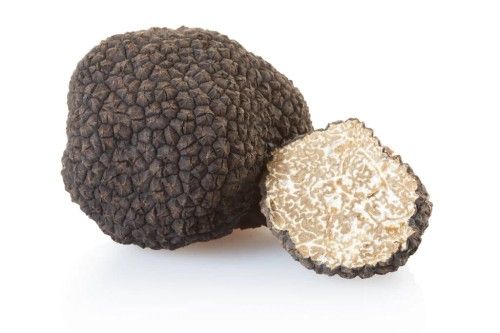 Truffle
