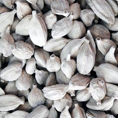 White Cardamom