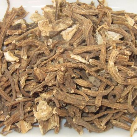 Angelica Root