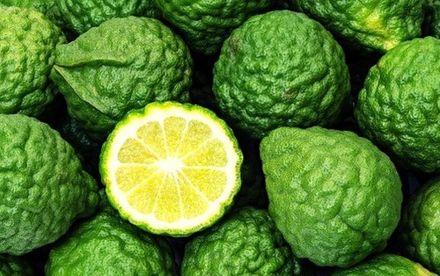 Bergamot