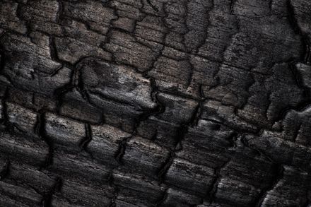 Charred Wood