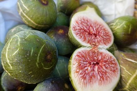 Fig Nectar
