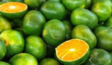 Green Mandarin