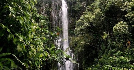 Head Space Waterfall