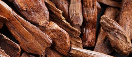 Indian Sandalwood