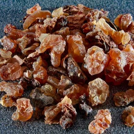 Indonesian Myrrh