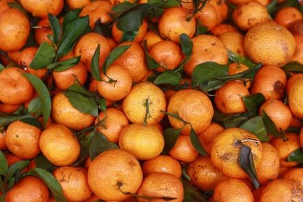 Italian Mandarin