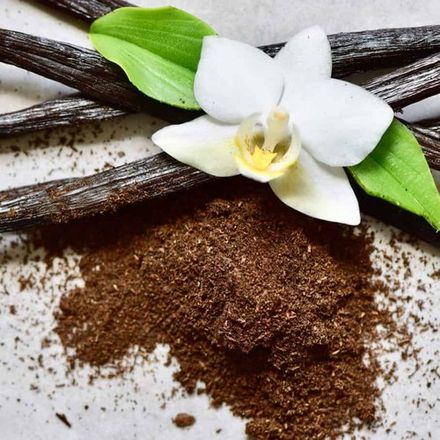 Mexican Vanilla