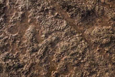 Mud