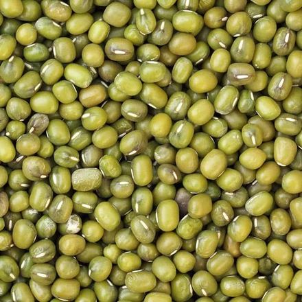 Mung Bean