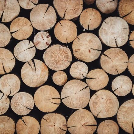 Oriental Woodsy notes