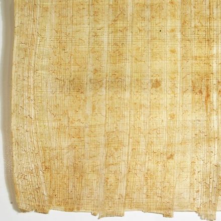 Papyrus