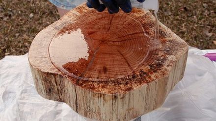 Wood Resin
