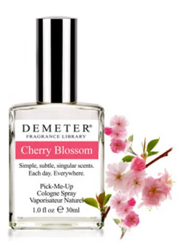 Cherry Blossom