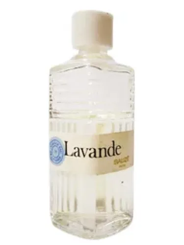 Lavande