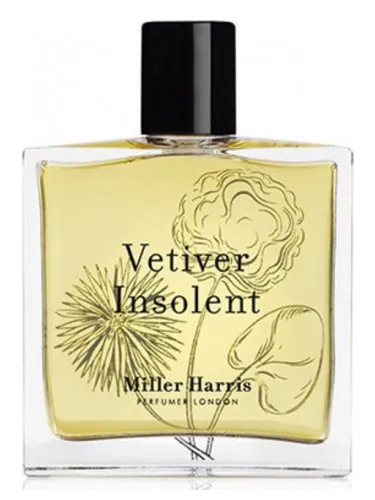 Vetiver Insolent