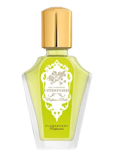 Citronnier