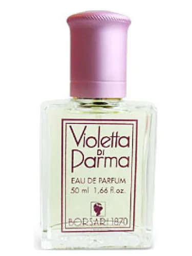 Violetta di Parma