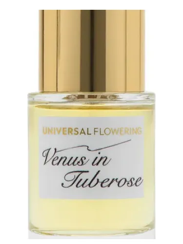 Venus in Tuberose