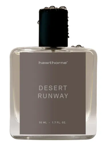Desert Runway