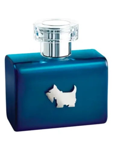 Terrier Blue