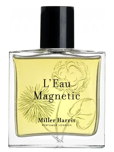 L'Eau Magnetic