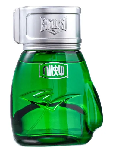 Choice Of Champions Street Fighter Brasil