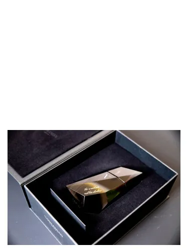 The Wanderer and His Shadow 