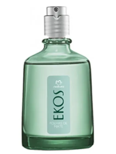 Mate Leaves (Folhas de Mate)